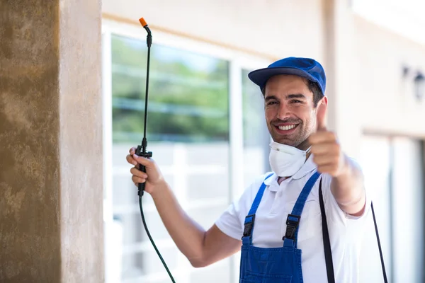 Palm Springs Wasp Removal