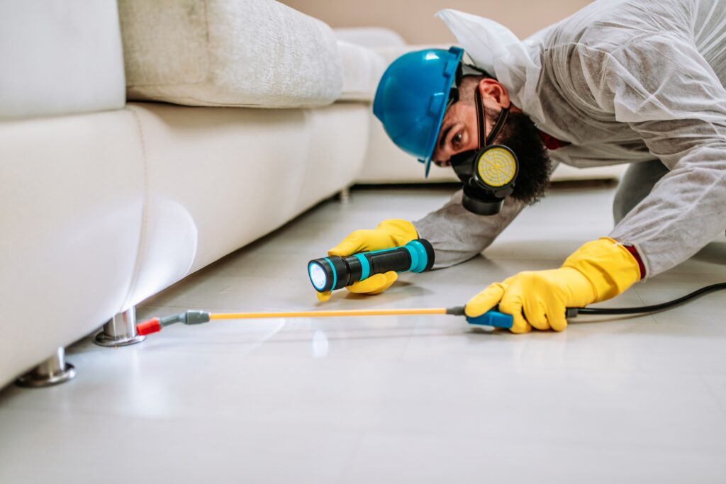 Palm Springs Termite Control