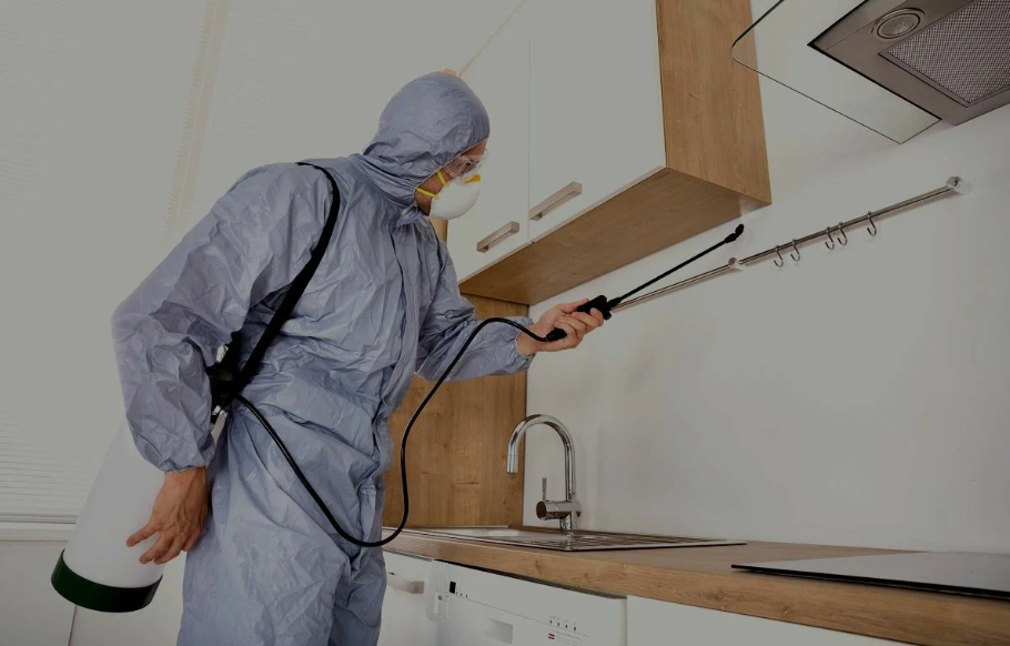 Palm Springs pest managment